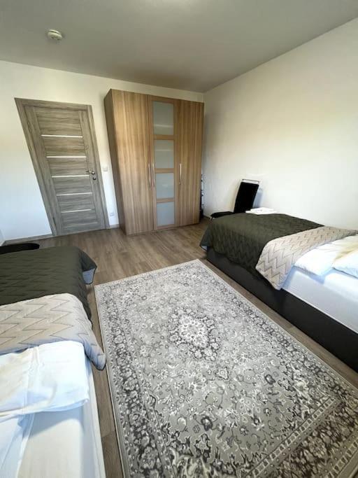 Familienwohnung Naehe Europapark, Messe, Gifiz See 오펜부르크 외부 사진